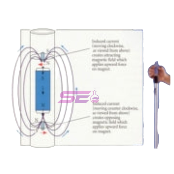 Lenz' Law Demonstrator